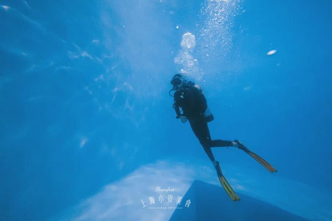 探索这三句英语有错误吗?的知识星球,专业领域的学习和交流平台